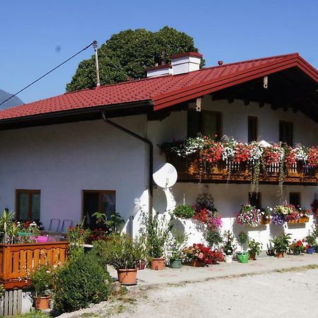 Апартаменты Bio-Bauernhof Greiml Грёбминг Экстерьер фото