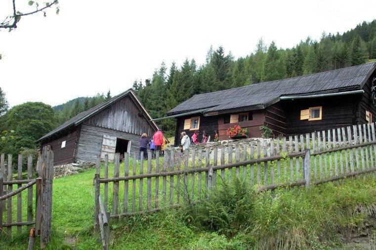 Апартаменты Bio-Bauernhof Greiml Грёбминг Экстерьер фото